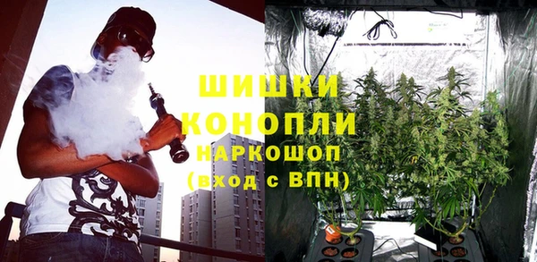 ГАЛЛЮЦИНОГЕННЫЕ ГРИБЫ Нязепетровск