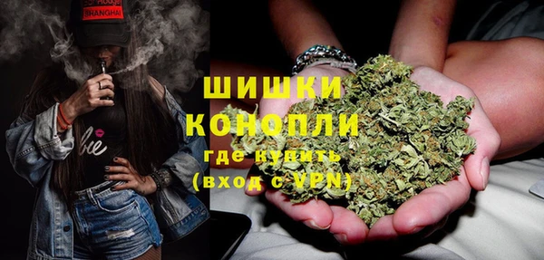ГАЛЛЮЦИНОГЕННЫЕ ГРИБЫ Нязепетровск
