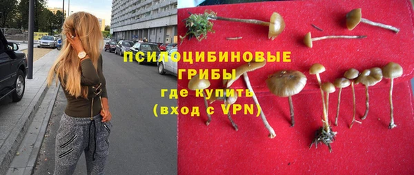 ГАЛЛЮЦИНОГЕННЫЕ ГРИБЫ Нязепетровск