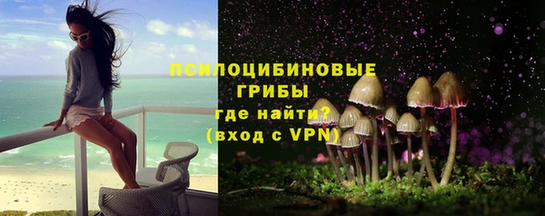 крисы Болотное