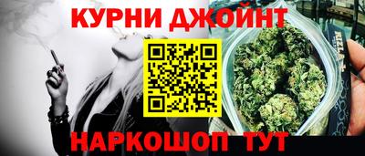 сатива Аргун