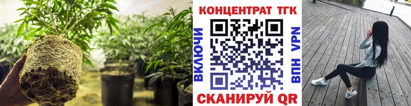 как найти   Балаково  Дистиллят ТГК вейп с тгк 