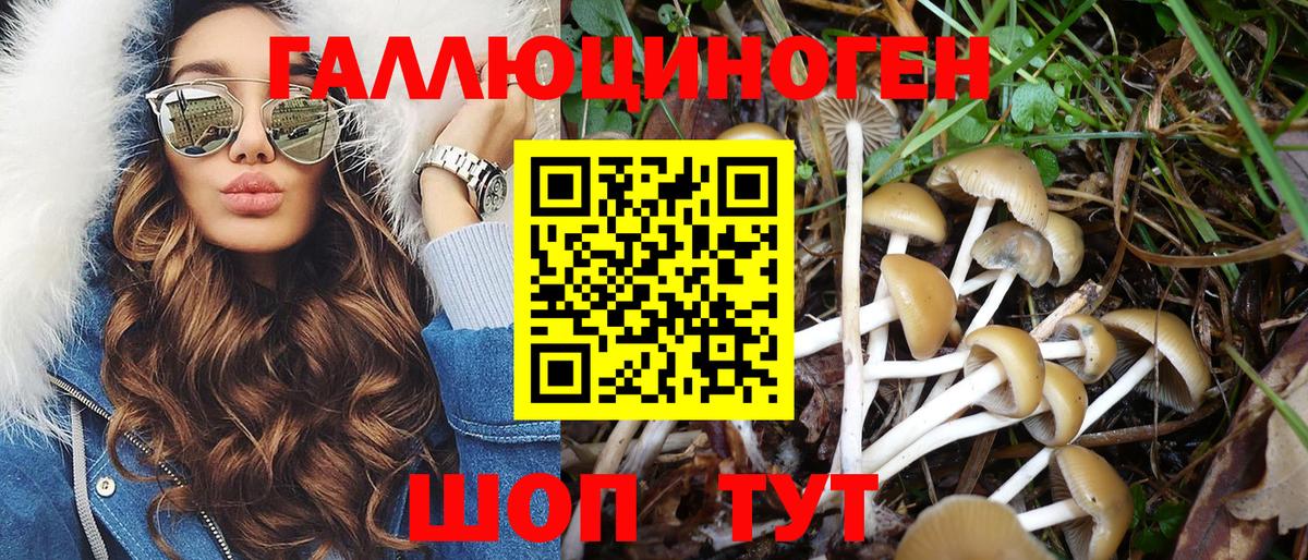 Галлюциногенные грибы Psilocybe Балаково