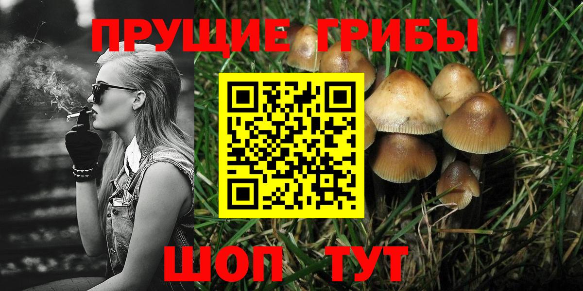 Галлюциногенные грибы Psilocybe  Псилоцибиновые грибы Magic Shrooms  Балаково  Вход с VPN 