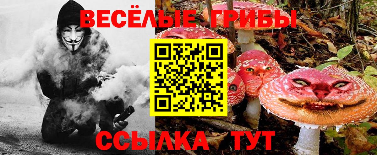 купить наркотик  Балаково  Галлюциногенные грибы мухоморы 